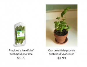 cost comparison between grocery store basil and a basil plant