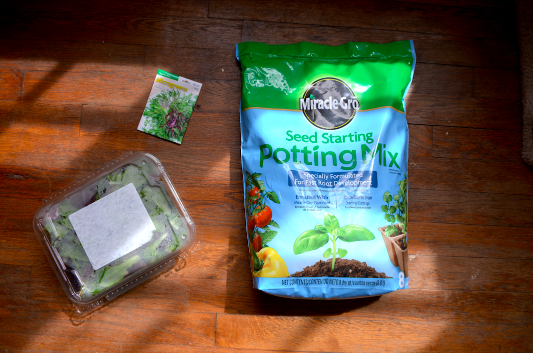 soil, salad container, and seed packet
