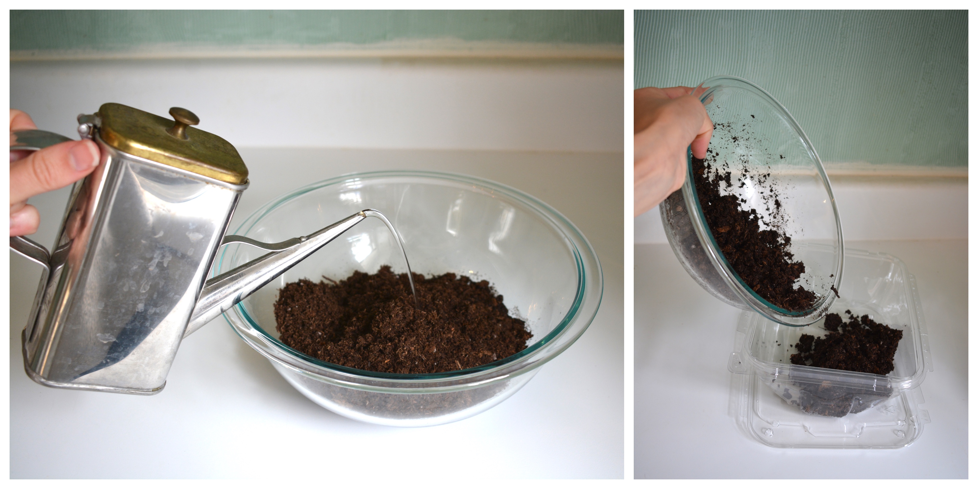 dampening soil in a bowl