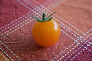 orange tomato