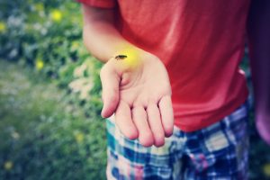 firefly on a child's hand