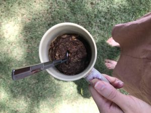 Person standing in the grass holding a mug with the cooked zucchini cake inside with a fork sticking out