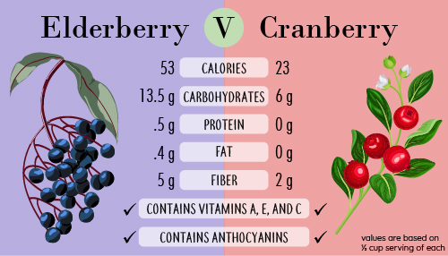 graphic comparing elderberries and cranberries