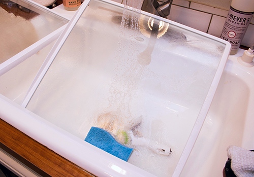 Glass Fridge shelves being cleaned in sink