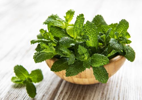 bowl of fresh mint leaves on a wooden table top