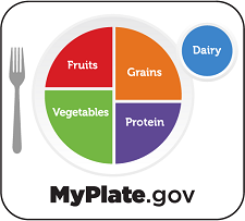 graphic of white place setting with colorful division of plate by food group and black text below.