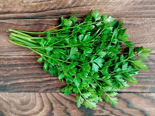 parsley bunch on a wooden table top