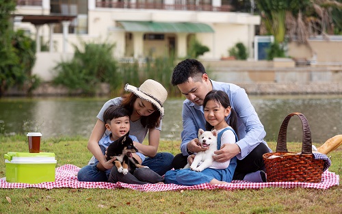 Family of 2 adults and 2 kids sit on a picnic blanket in front of a pond with their two puppies, a picnic basket, and a cooler.