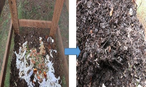 Compost Bin from Gardener's Supply