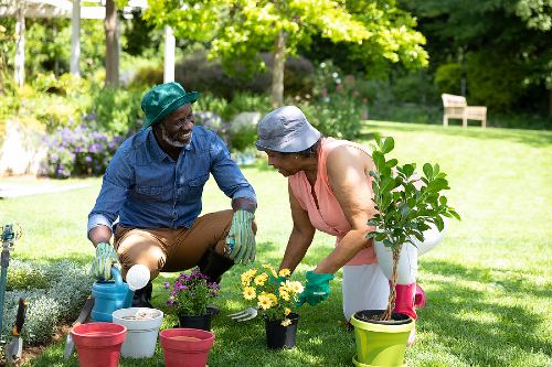 senior african american couple planting a garden together