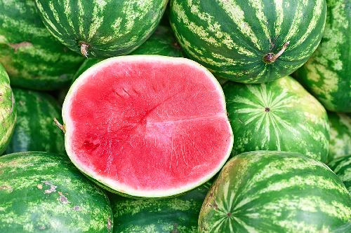 cut half of a watermelon lays on a bed of other uncut watermelons