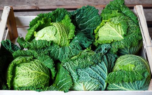 heads of green cabbage in a wooden crate