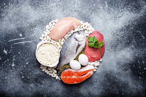 Different types of foods containing protein: fish, meat, chicken, eggs, dairy products, beans on gray concrete background