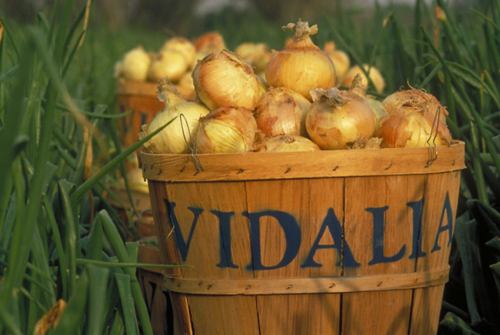 Vidalia onions in a basket with the word "Vidalia" printed on the basket 