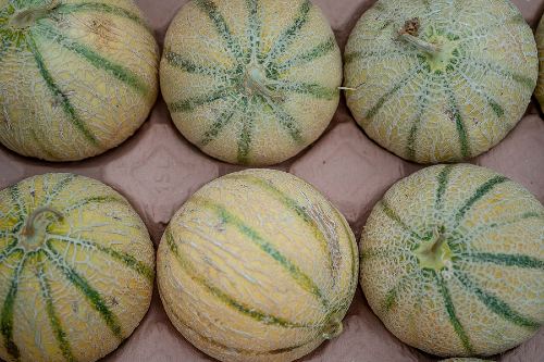 arial shot of 6 whole cantaloupes sitting in a carton waiting to be sold