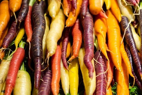 close up of rainbow carrots