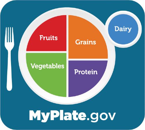 Image of MyPlate with a plate divided into quarters with vegetables, fruits, protein and grains written in quarters and a circle beside the plate with dairy written inside