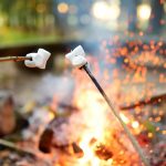 roasting marshmallows on a stick