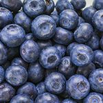 close-up of freshly picked blueberries