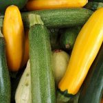 close up photo of yellow squash and green zucchini