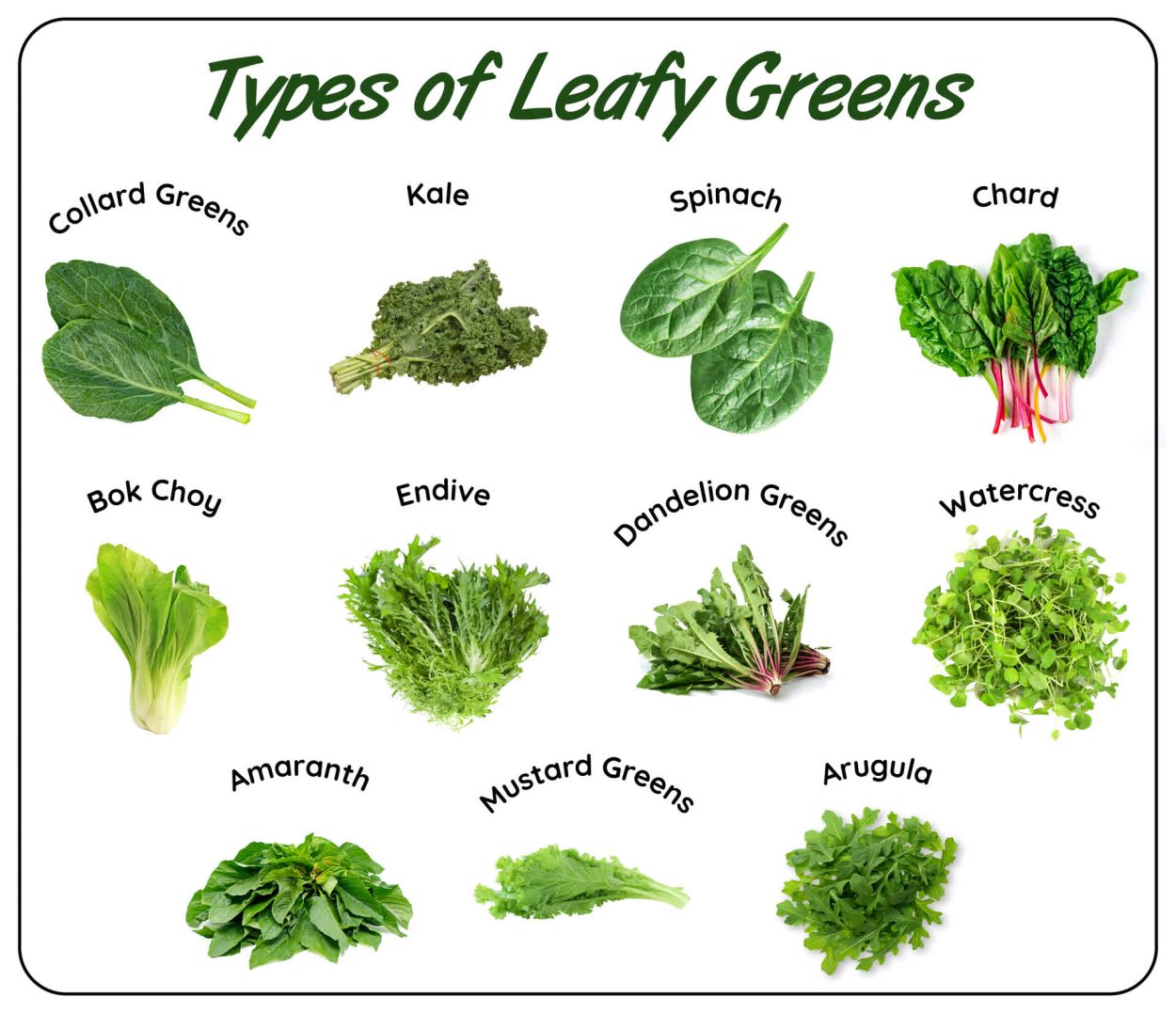 A graphic showing pictures of leafy greens as mentioned in previous paragraph.