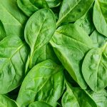 spinach leaves