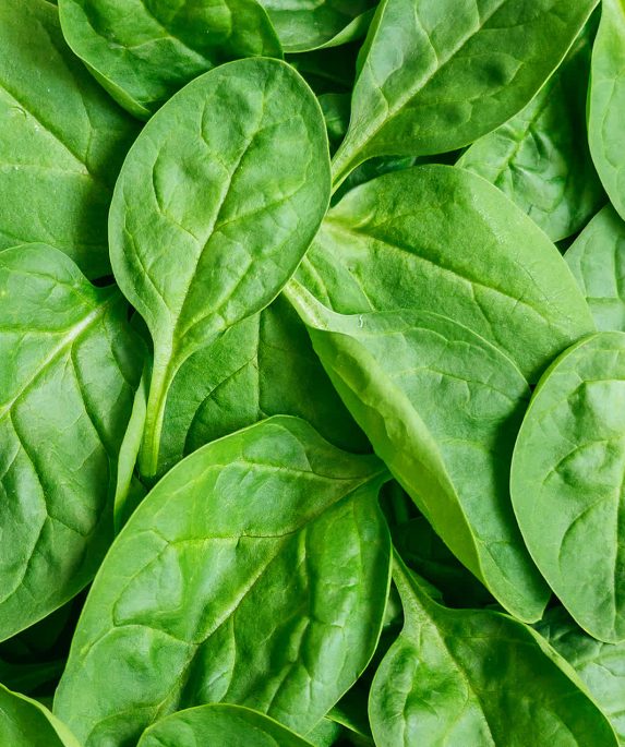 spinach leaves