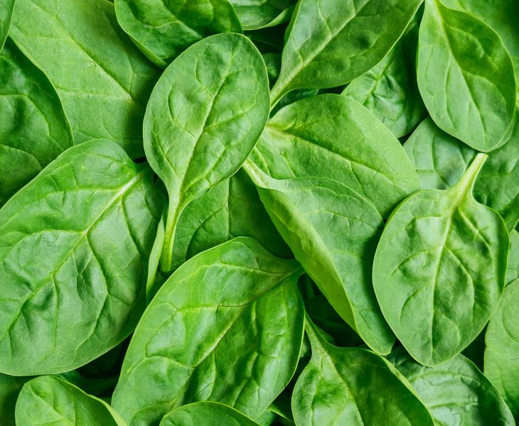 spinach leaves